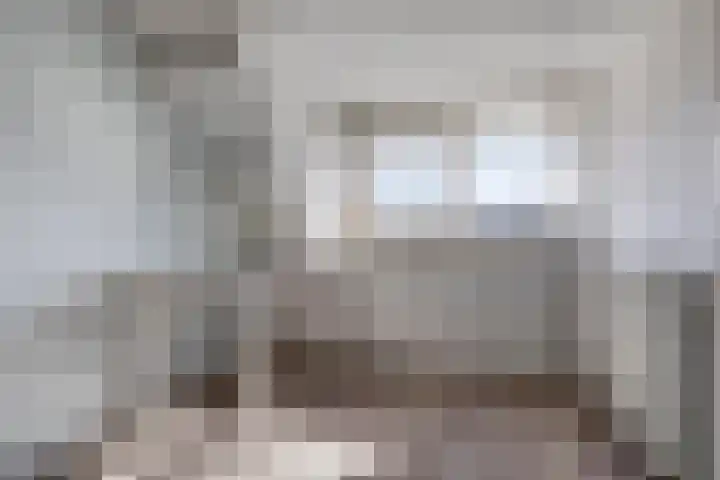Bieslook 23 Oisterwijk thumbnail 23