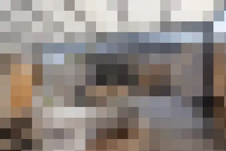 Bieslook 23 Oisterwijk thumbnail 25