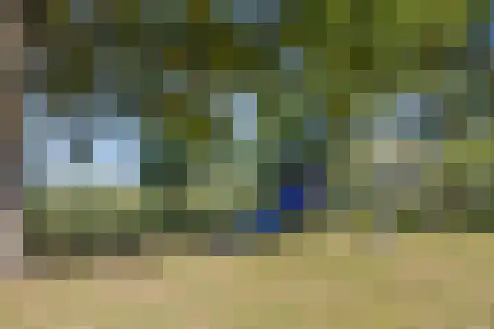 Bieslook 23 Oisterwijk thumbnail 30