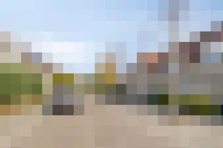 Bieslook 23 Oisterwijk thumbnail 31