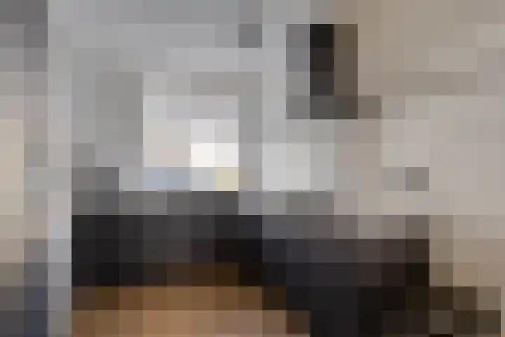 Bieslook 23 Oisterwijk thumbnail 9