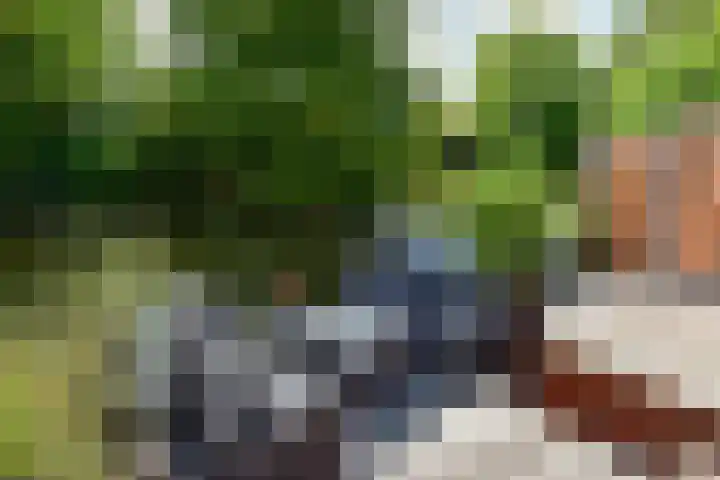Bieslook 24 Uithoorn thumbnail 10