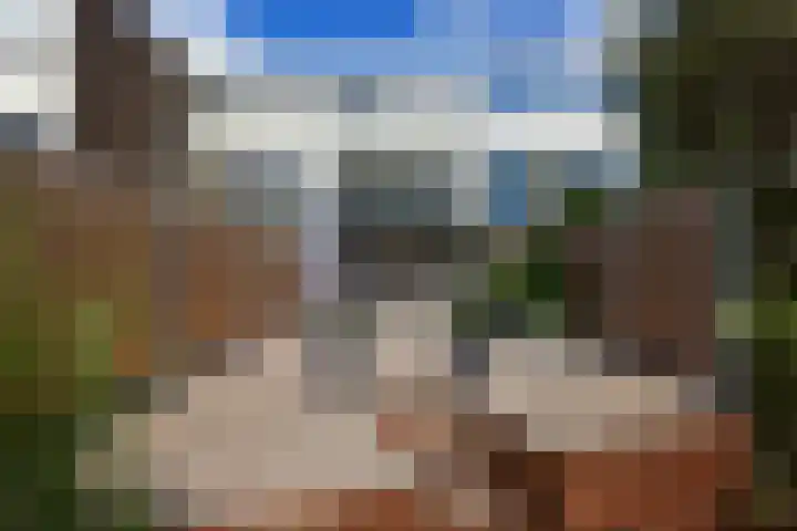 Bieslook 24 Uithoorn thumbnail 12