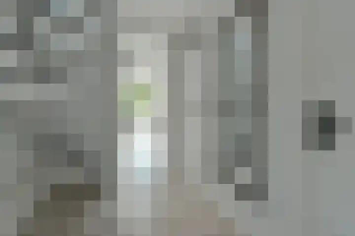 Bieslook 24 Uithoorn thumbnail 13