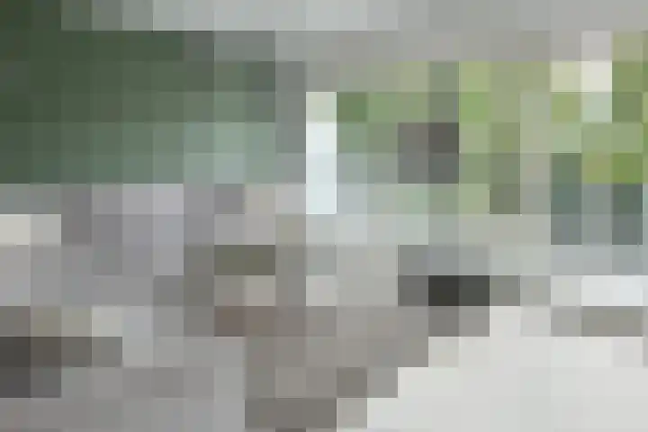Bieslook 24 Uithoorn thumbnail 17