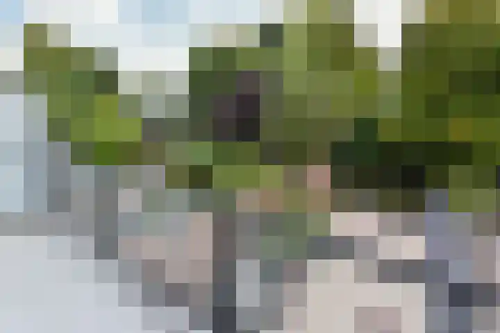 Bieslook 24 Uithoorn thumbnail 18