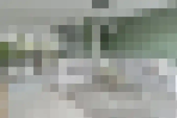 Bieslook 24 Uithoorn thumbnail 19