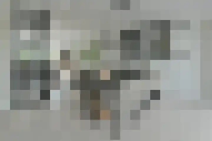 Bieslook 24 Uithoorn thumbnail 21