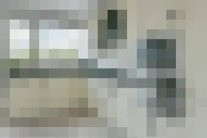 Bieslook 24 Uithoorn thumbnail 22