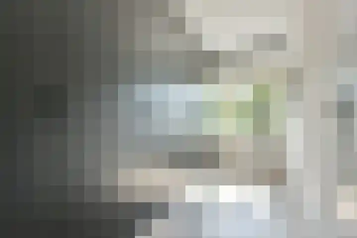 Bieslook 24 Uithoorn thumbnail 23