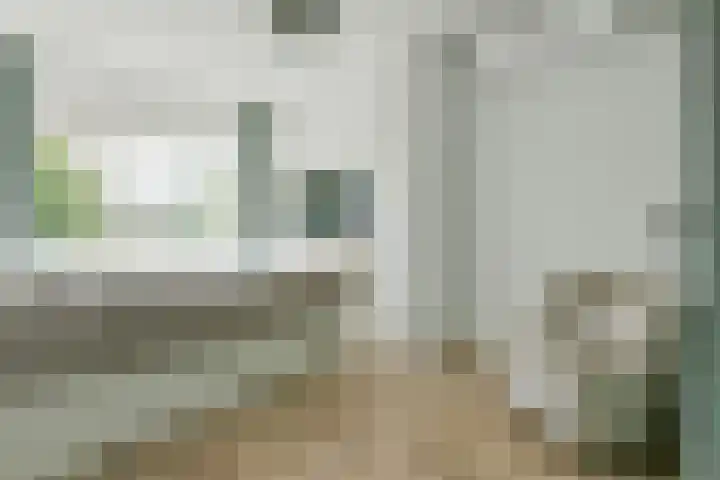 Bieslook 24 Uithoorn thumbnail 24