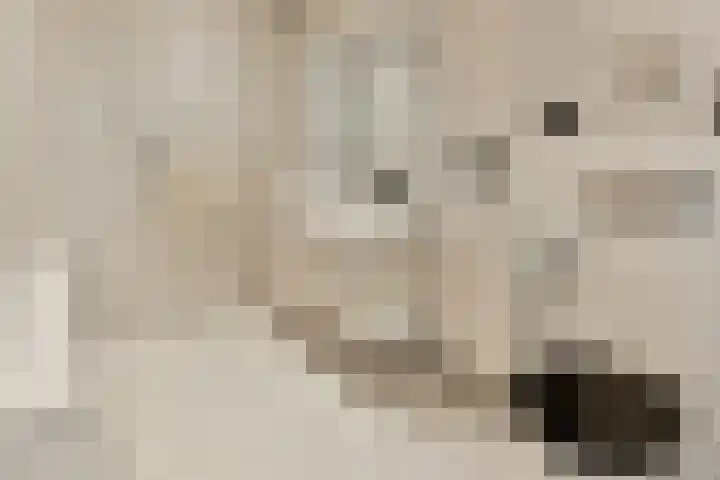 Bieslook 24 Uithoorn thumbnail 25