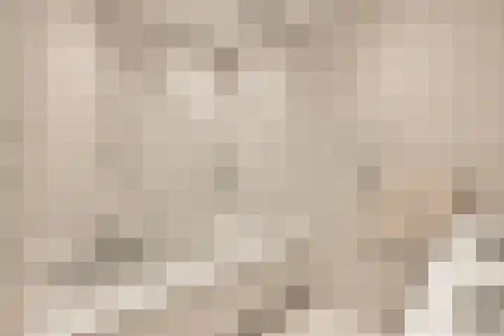 Bieslook 24 Uithoorn thumbnail 26