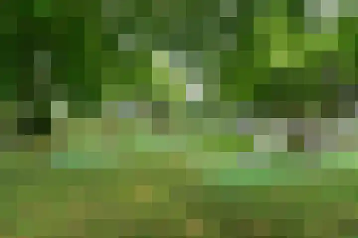 Bieslook 24 Uithoorn thumbnail 30