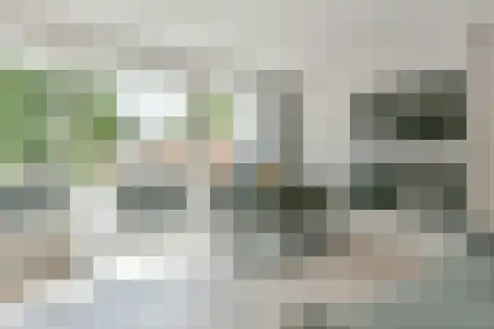 Bieslook 24 Uithoorn thumbnail 4