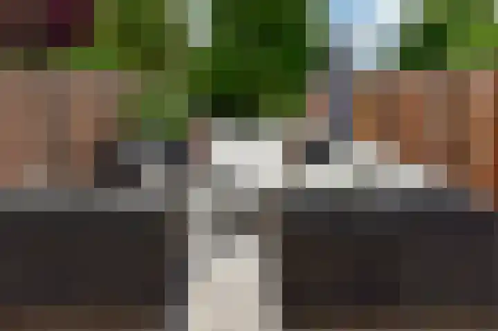 Bieslook 24 Uithoorn thumbnail 6
