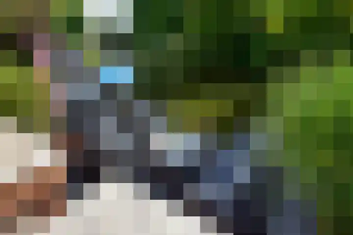 Bieslook 24 Uithoorn thumbnail 8