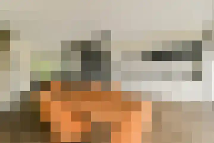 Bieslook 25 Uithoorn thumbnail 12