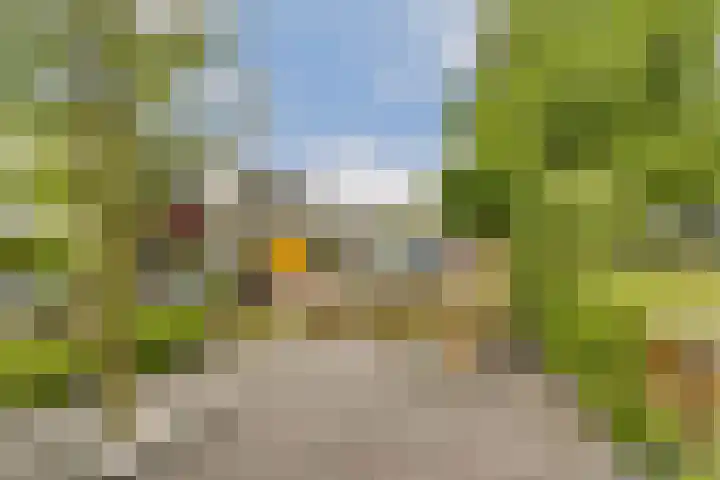 Bieslook 25 Uithoorn thumbnail 4