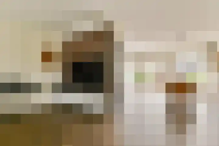 Bieslook 25 Uithoorn thumbnail 8