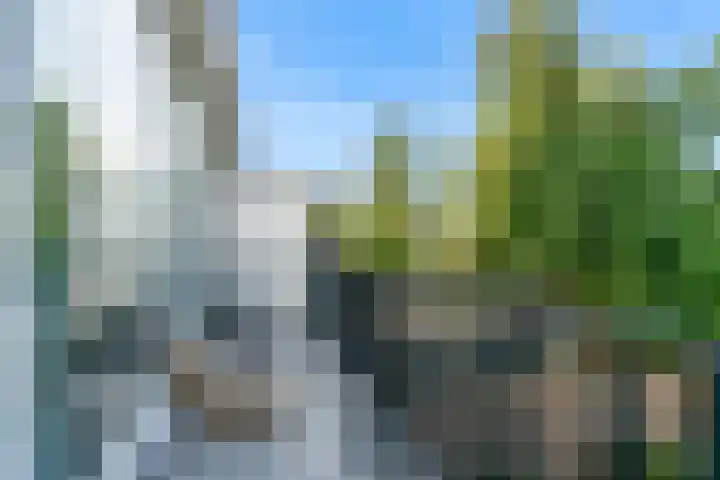 Bieslook 36 Uithoorn thumbnail 13