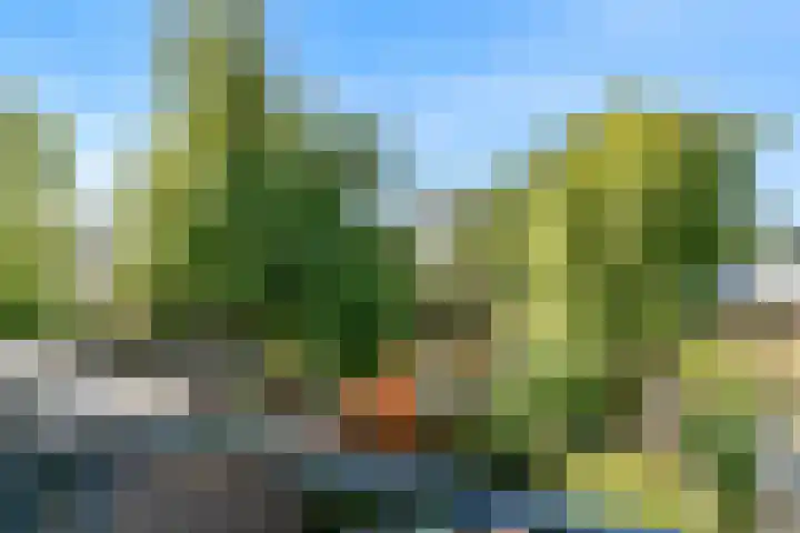 Bieslook 36 Uithoorn thumbnail 14