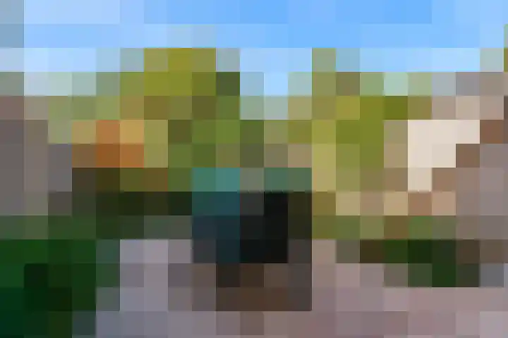 Bieslook 36 Uithoorn thumbnail 27