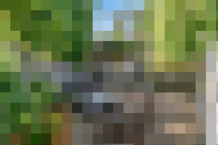 Bieslook 36 Uithoorn thumbnail 28