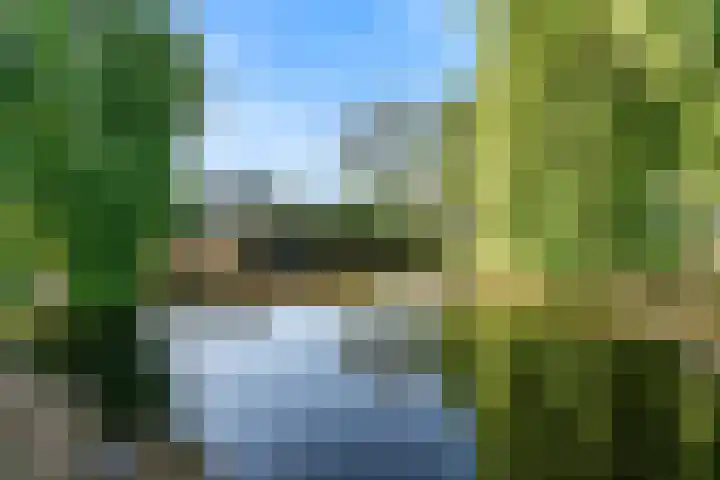 Bieslook 36 Uithoorn thumbnail 30