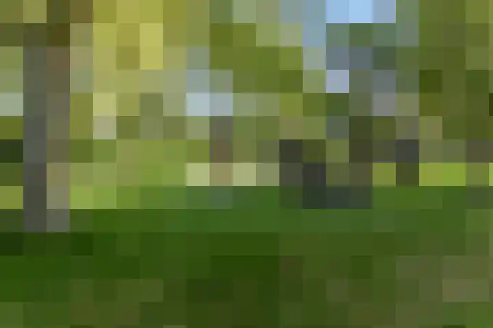 Bieslook 36 Uithoorn thumbnail 31