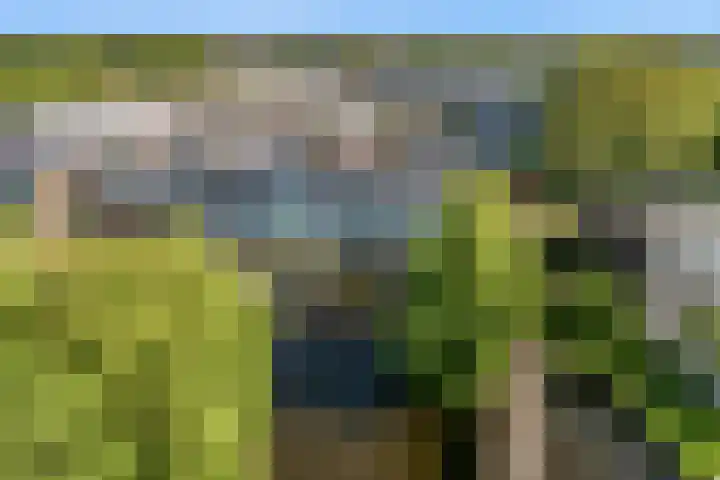 Bieslook 36 Uithoorn thumbnail 32