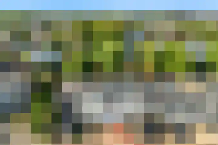 Bieslook 36 Uithoorn thumbnail 33