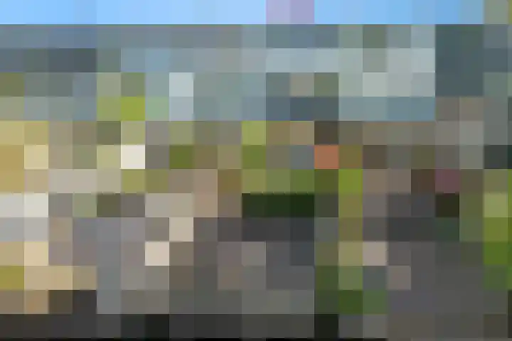 Bieslook 36 Uithoorn thumbnail 34