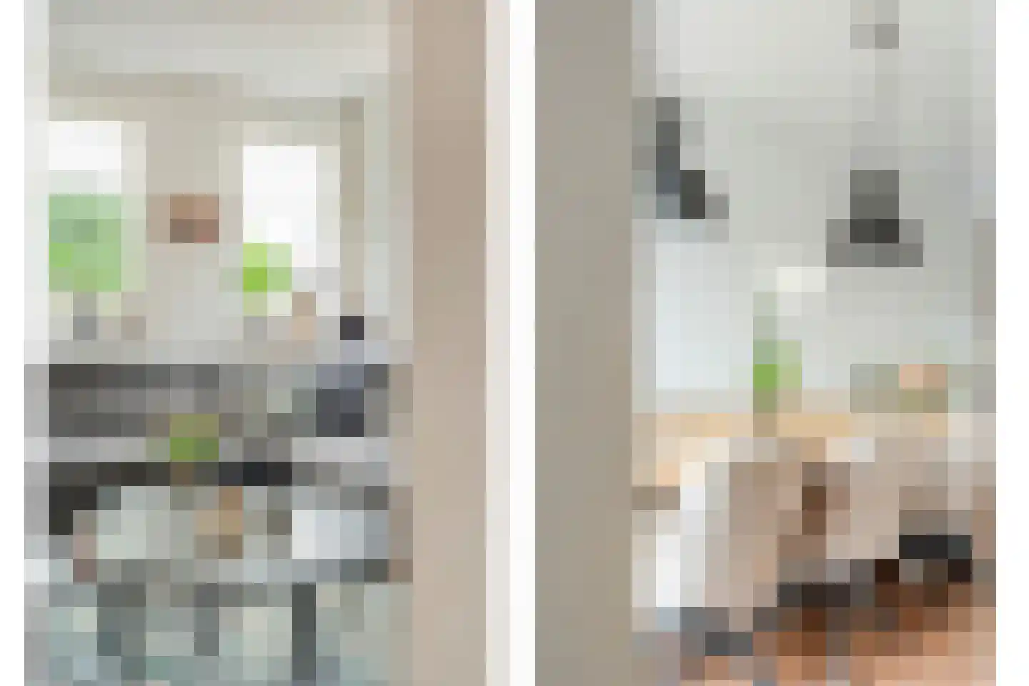 Bieslook 4 Noordscheschut thumbnail 10