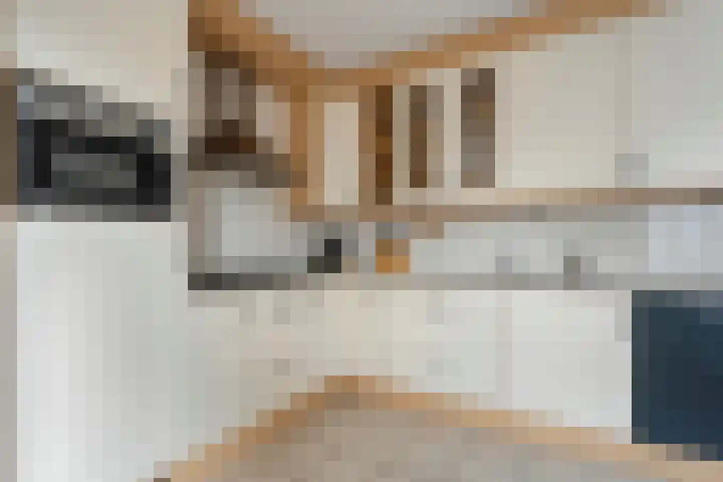 Bieslook 4 Noordscheschut thumbnail 11