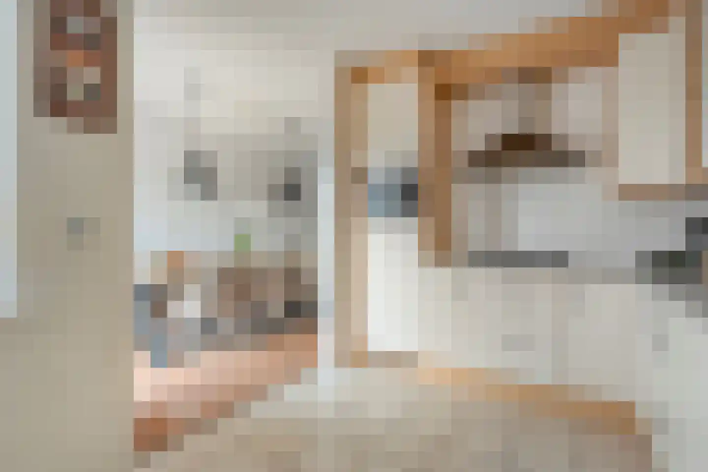 Bieslook 4 Noordscheschut thumbnail 14