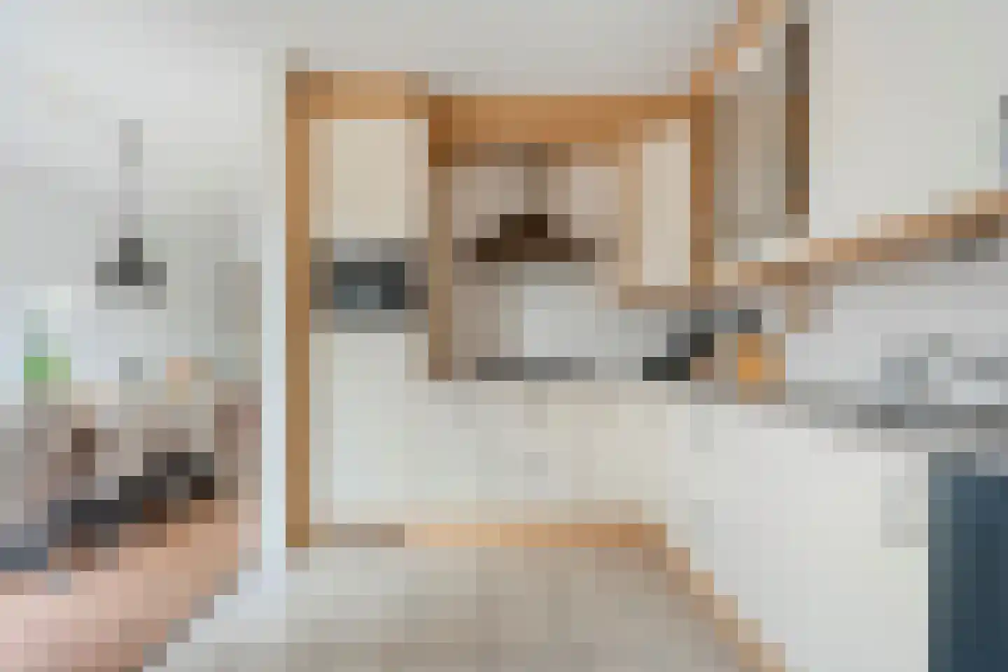 Bieslook 4 Noordscheschut thumbnail 15