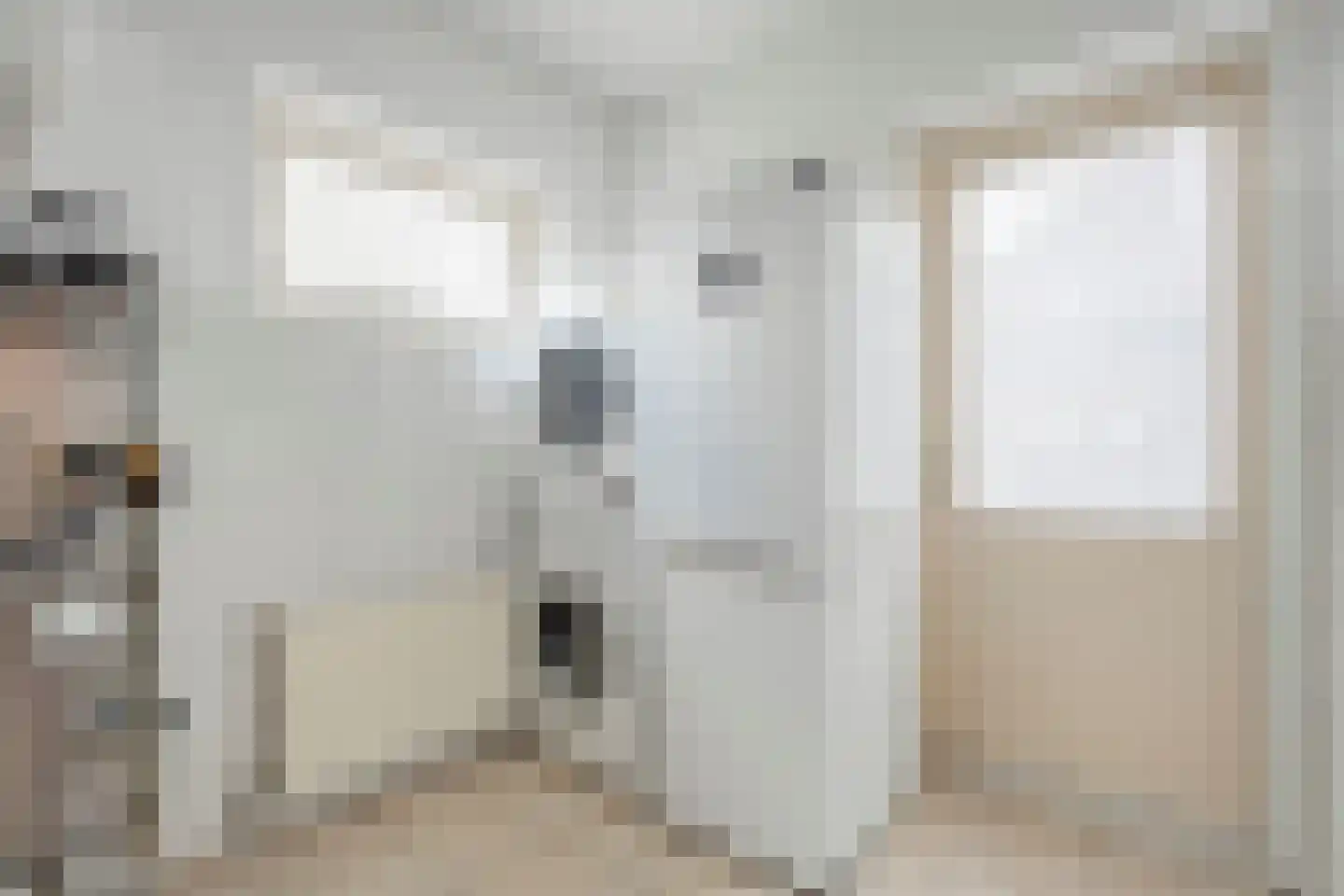 Bieslook 4 Noordscheschut thumbnail 16