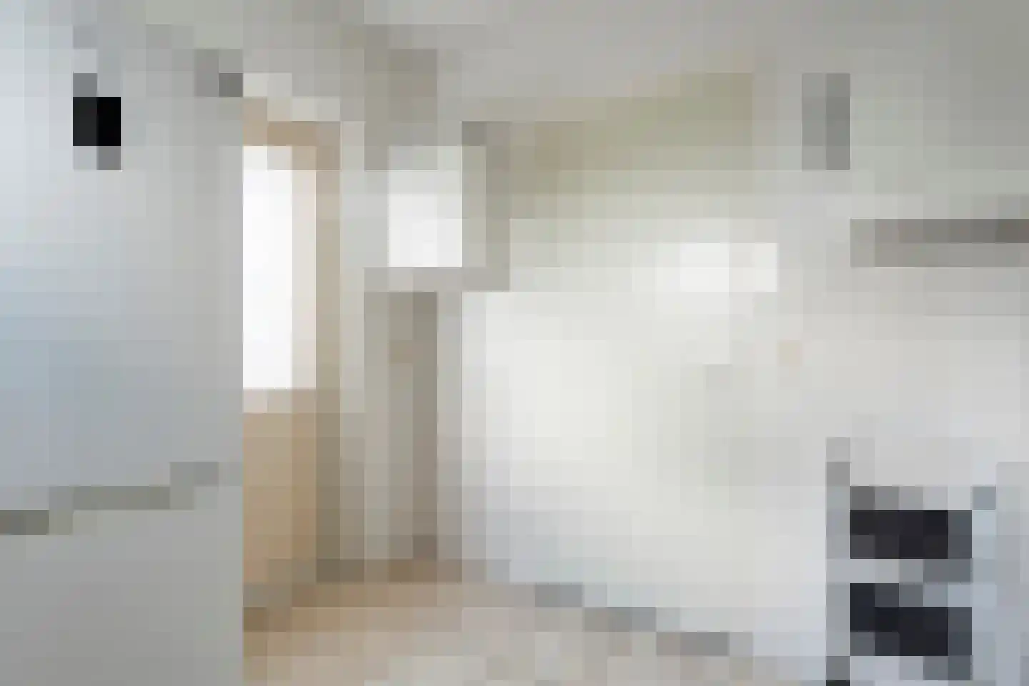 Bieslook 4 Noordscheschut thumbnail 17