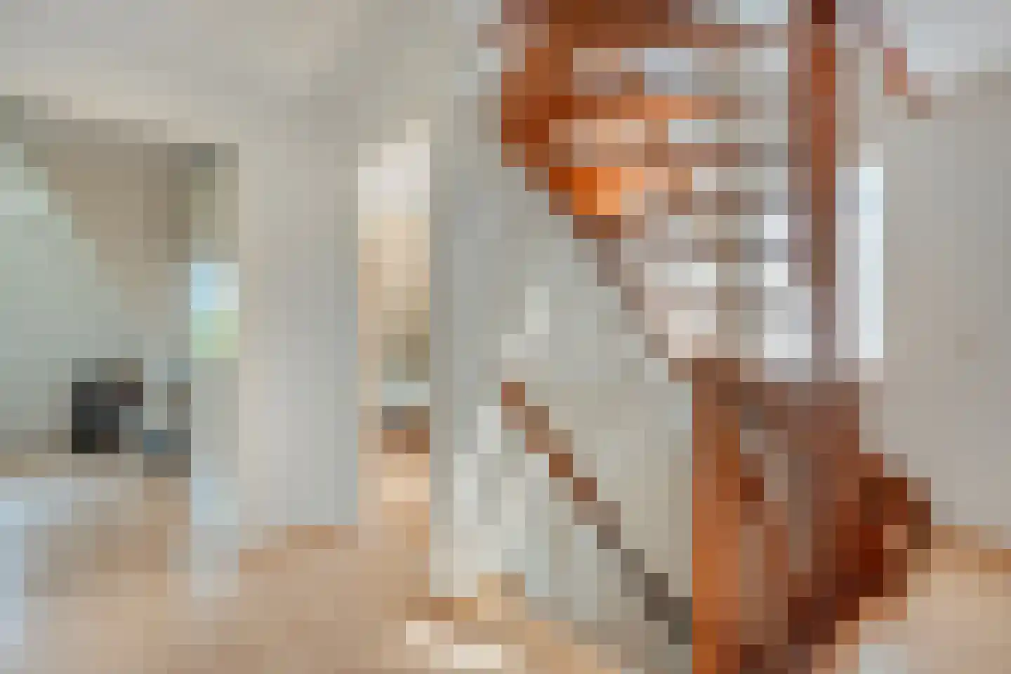 Bieslook 4 Noordscheschut thumbnail 18