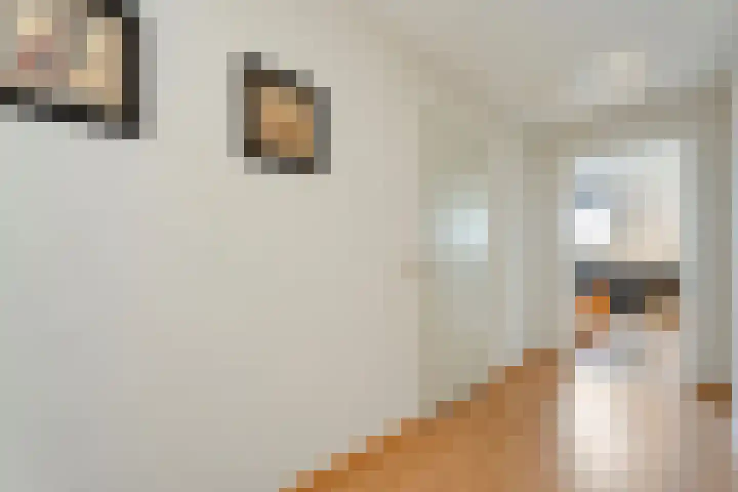 Bieslook 4 Noordscheschut thumbnail 20