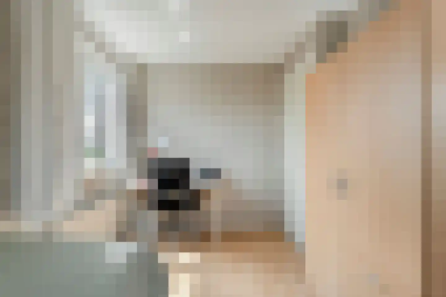 Bieslook 4 Noordscheschut thumbnail 22