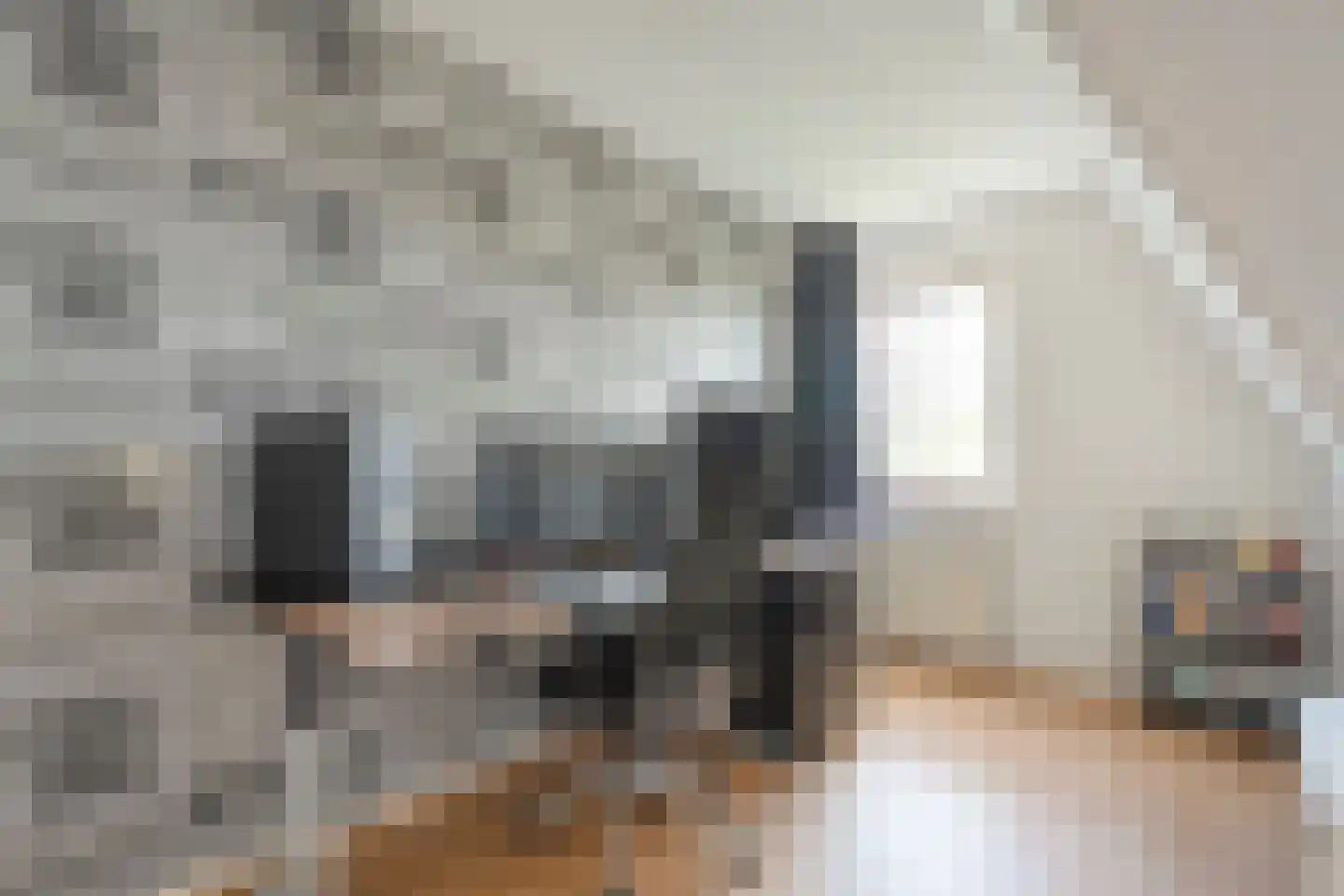 Bieslook 4 Noordscheschut thumbnail 23