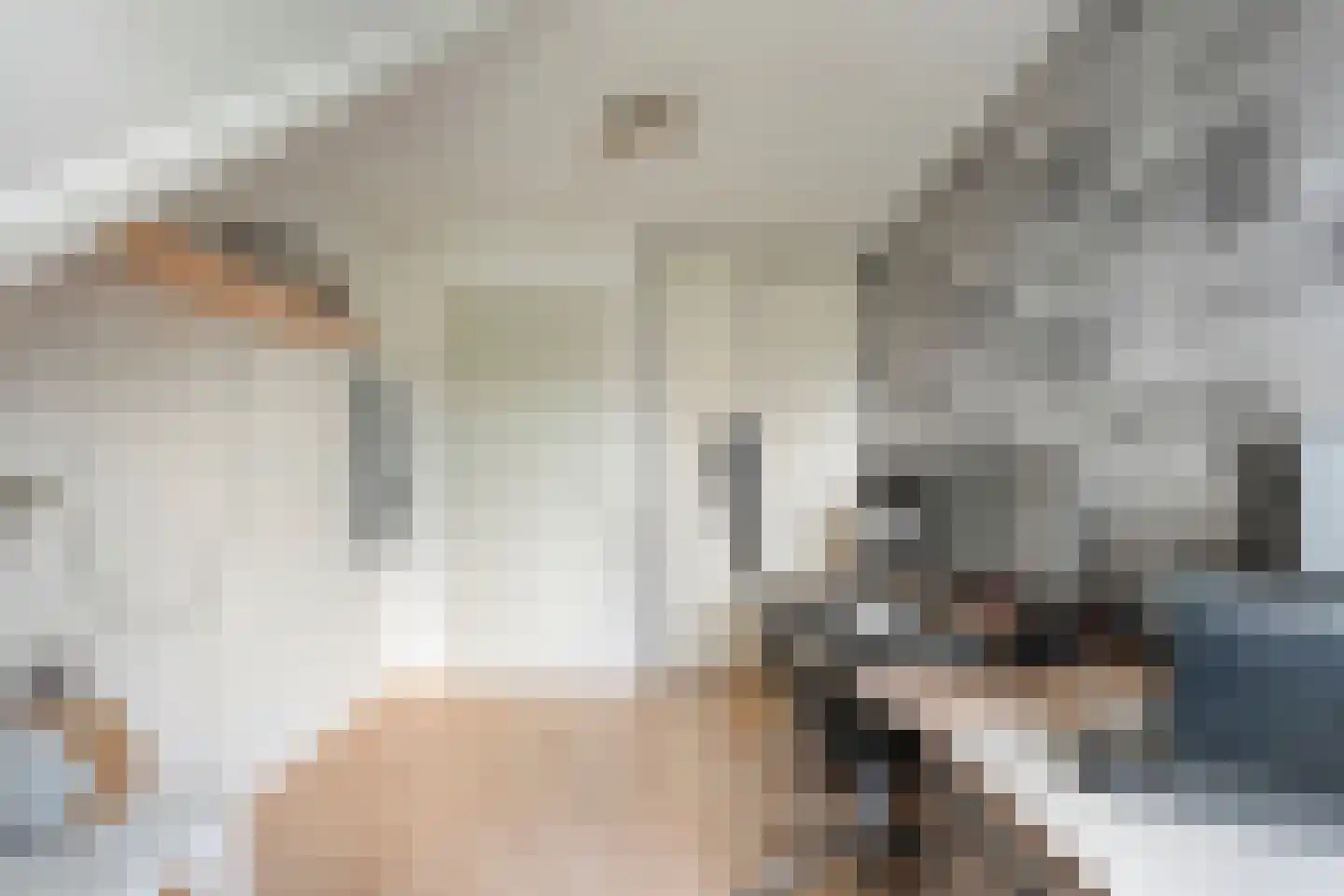 Bieslook 4 Noordscheschut thumbnail 24