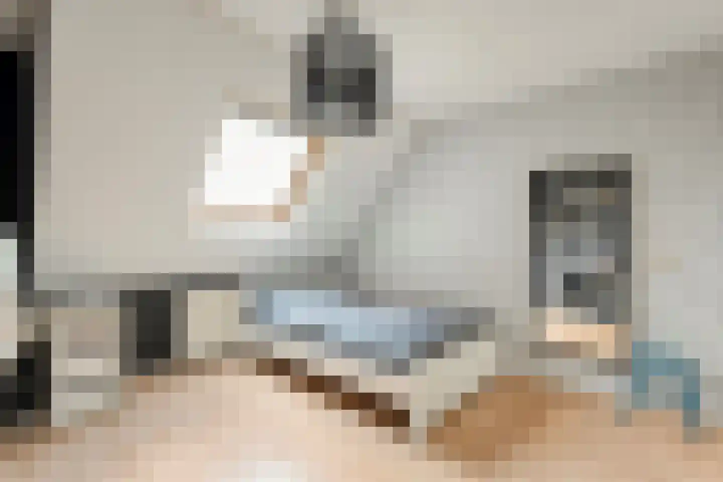 Bieslook 4 Noordscheschut thumbnail 25