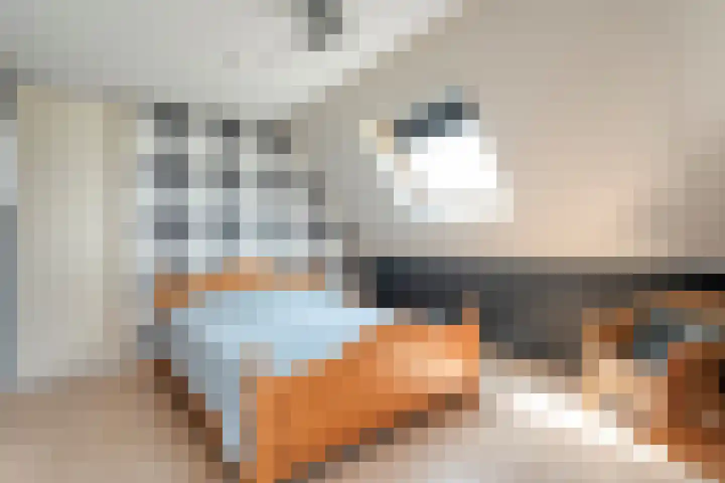Bieslook 4 Noordscheschut thumbnail 27