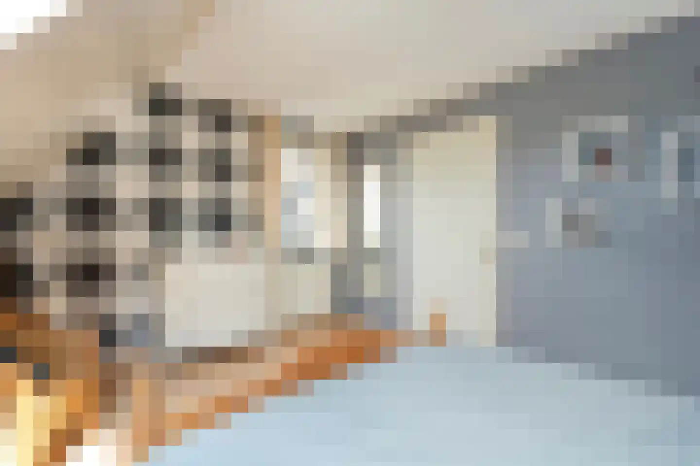 Bieslook 4 Noordscheschut thumbnail 28