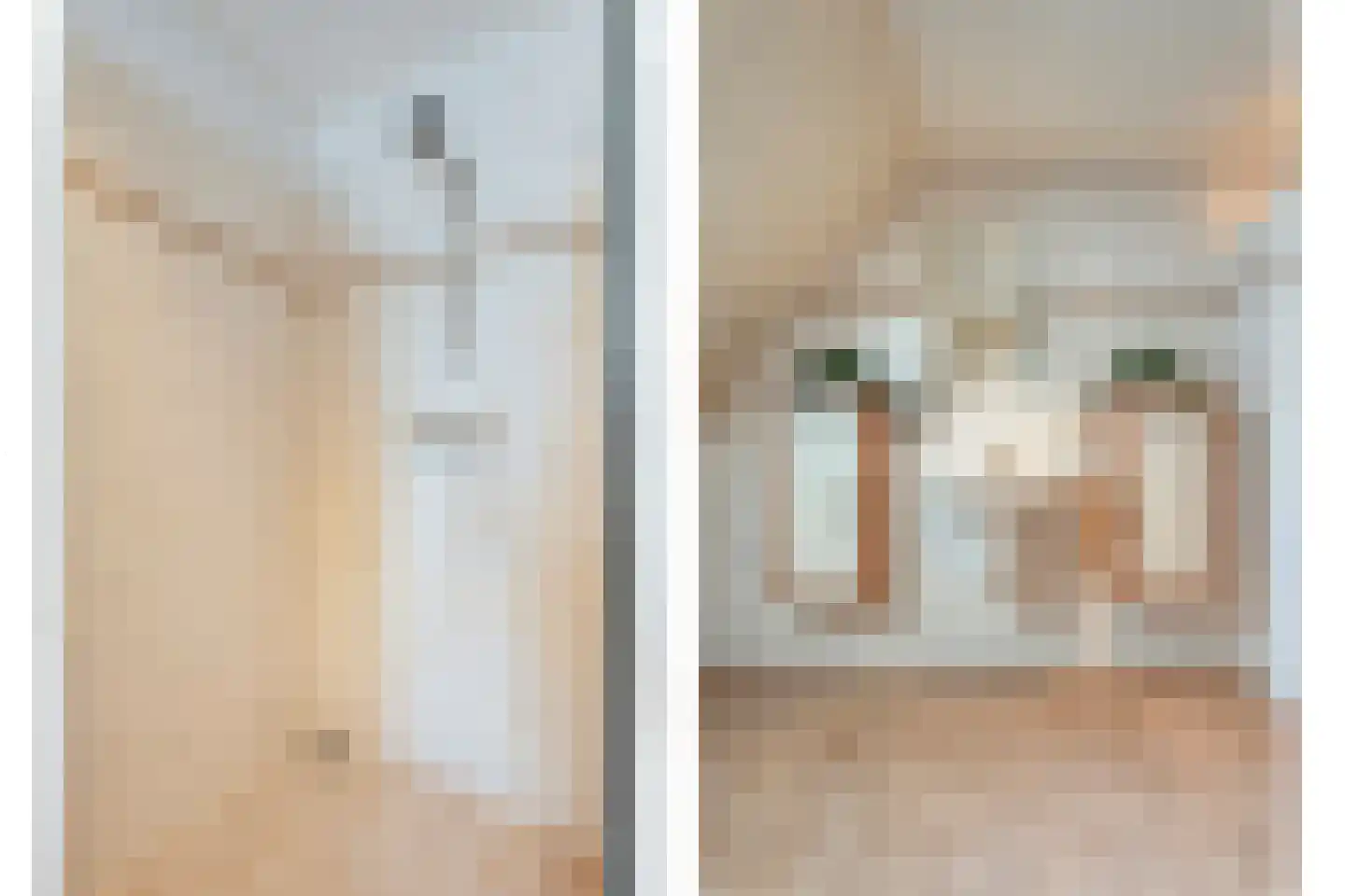 Bieslook 4 Noordscheschut thumbnail 32