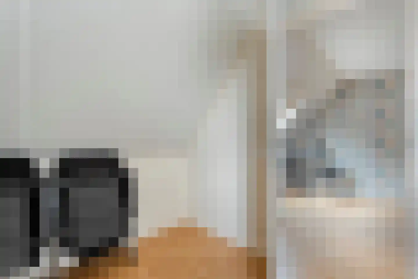 Bieslook 4 Noordscheschut thumbnail 34