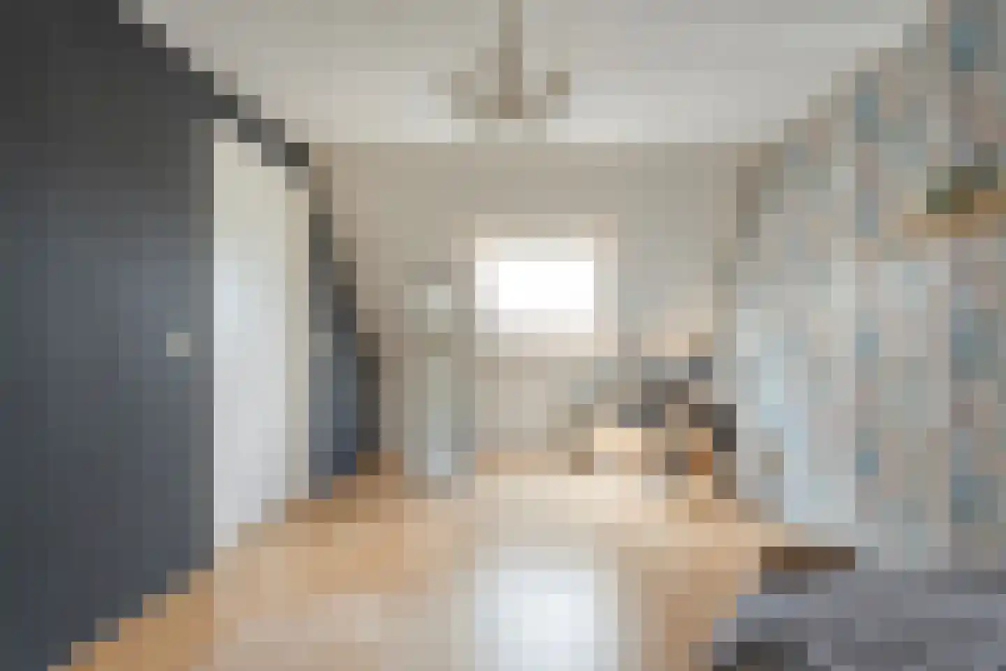 Bieslook 4 Noordscheschut thumbnail 36